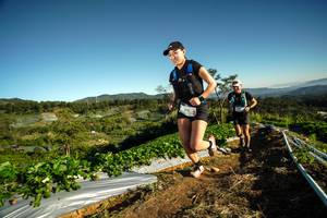 BIB: 
                            <button type="button" onclick="openModal(19116954)" class="btn btn-primary btn-sm float-right btn-popup" data-toggle="modal" data-target=".modal-high-quality">
                        <i class="fas fa-shopping-cart"></i> Add to Cart
                    </button>
                                            <button type="button" onclick="isThisMe(19116954, true)" class="btn btn-success btn-sm float-right btn-popup btn-isme hidden" data-toggle="tooltip" data-placement="bottom" title="นี่คือรูปของคุณใช่ไหม คลิกที่นี่เพื่อเอาเข้าอัลบั้ม">
                        <i class="fas fa-plus"></i> Add to album
                    </button>
                    <button type="button" onclick="isThisMe(19116954, false)" class="btn btn-warning btn-sm float-right btn-popup btn-isnotme hidden">
                        <i class="fas fa-ban"></i> Remove from album
                    </button>